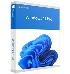 Windows 11 Professional 32/64 Bit 1/PC